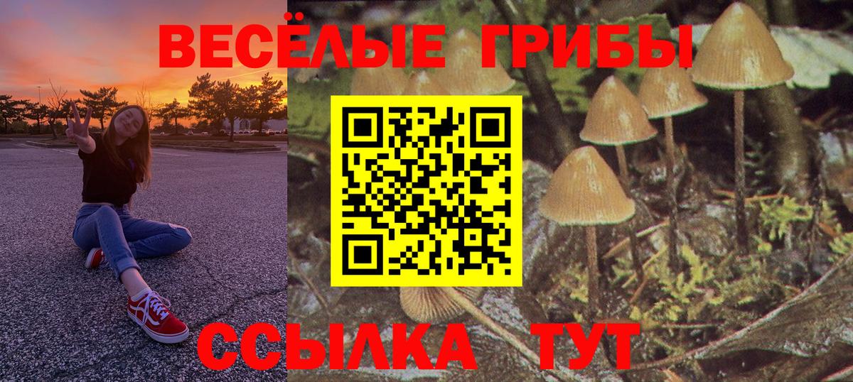 Псилоцибиновые грибы Magic Shrooms Назарово